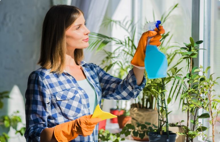 young-woman-holding-yellow-napkin-spraying-window-glass